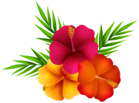 pngwing.com (3)